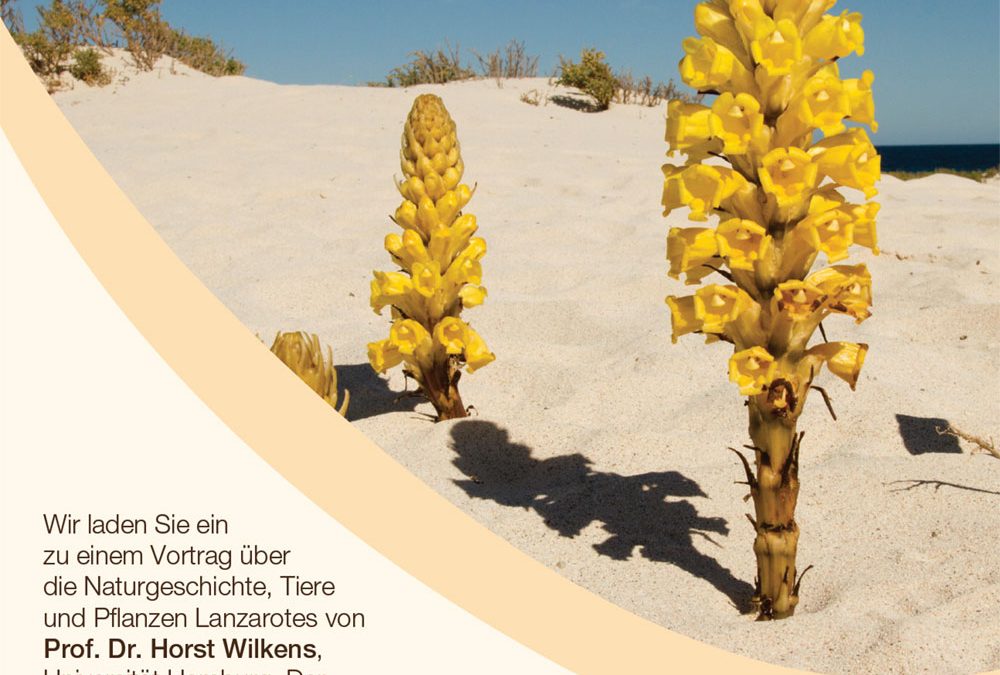 Lanzarote: Lava, Sand & Blütenpracht